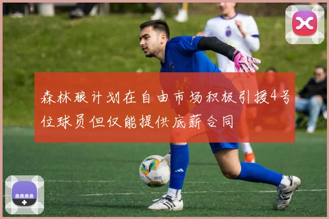 森林狼计划在自由市场积极引援4号位球员但仅能提供底薪合同