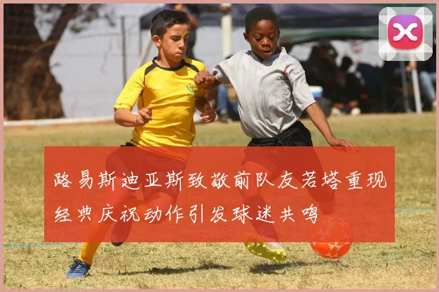 路易斯迪亚斯致敬前队友若塔重现经典庆祝动作引发球迷共鸣