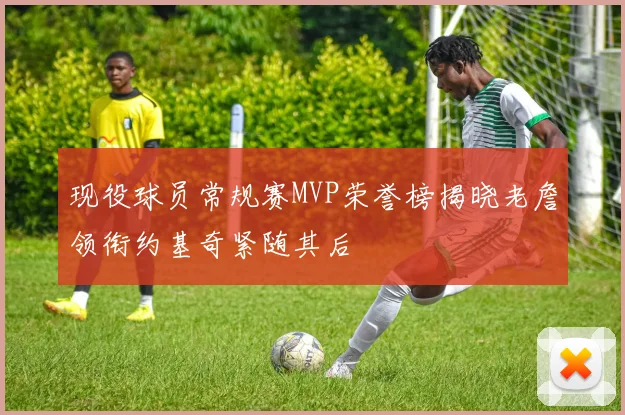 现役球员常规赛MVP荣誉榜揭晓老詹领衔约基奇紧随其后